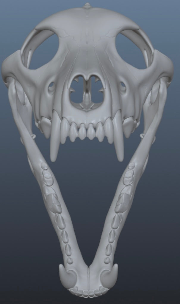 Wolf Skull Mask for Cosplay