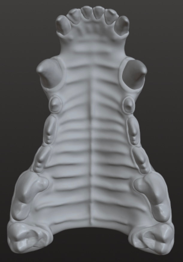 Set of 3 Wolf Teeth designs for 3D use