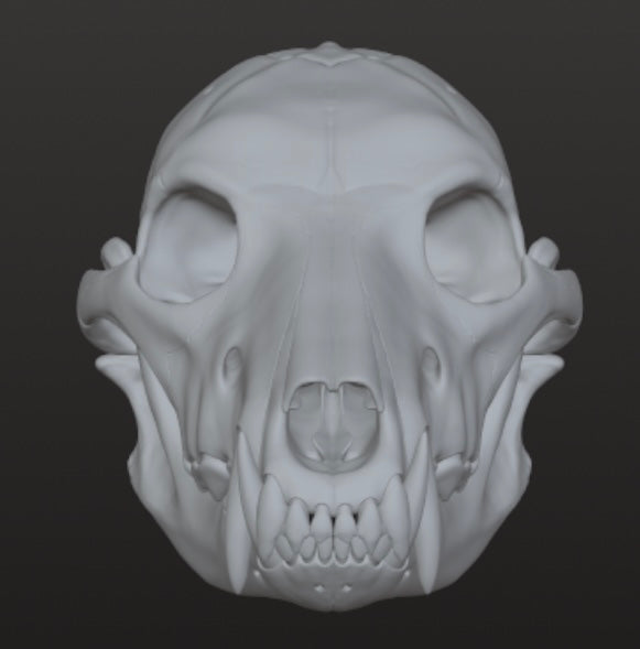 Realistic Werewolf skull 3DModel