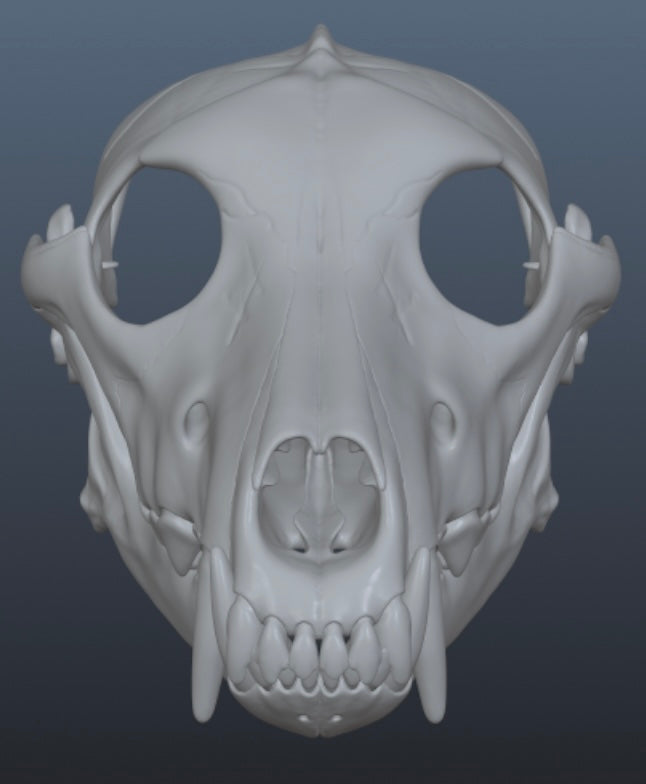 Wolf Skull Mask for Cosplay