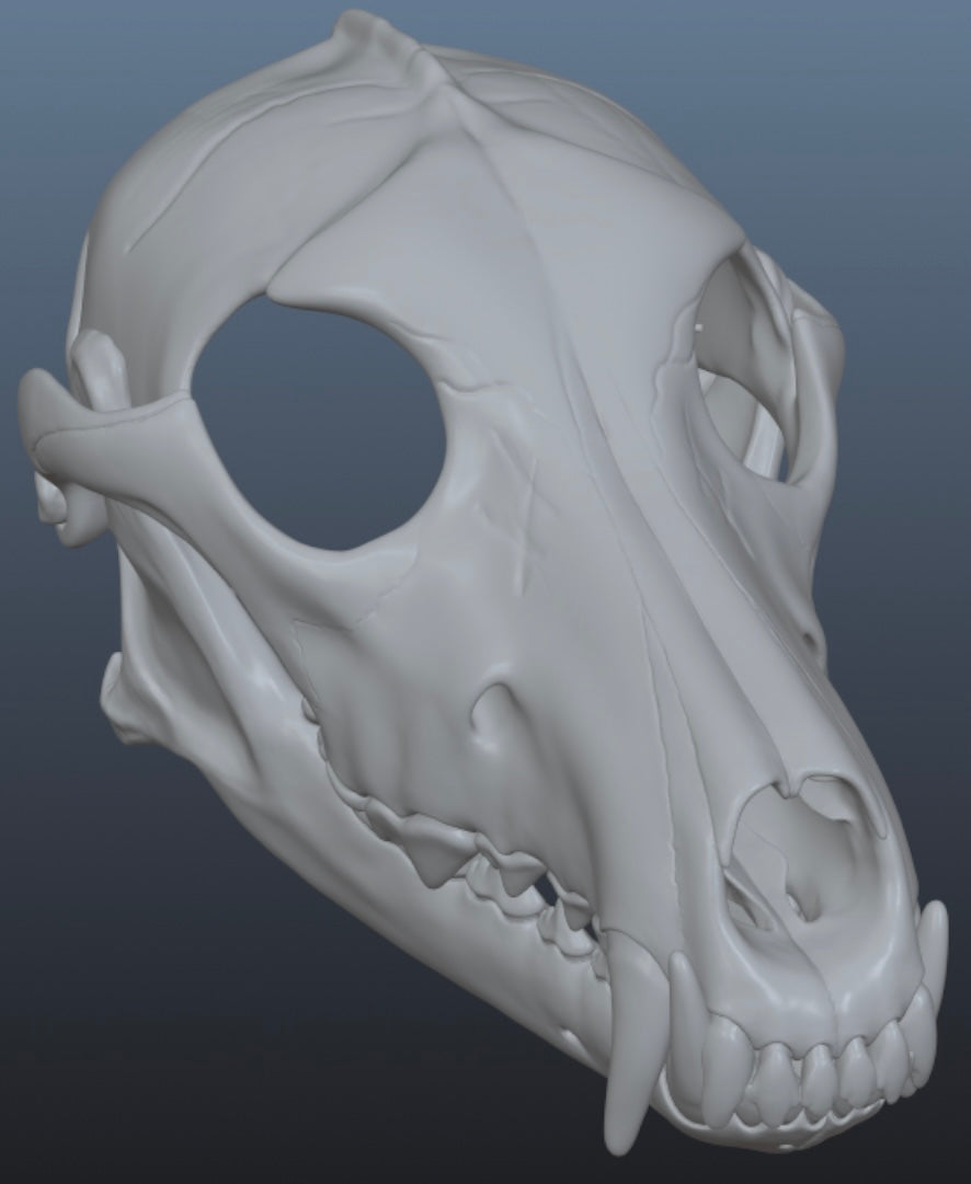 3D model of a dog skull on a gradient gray background