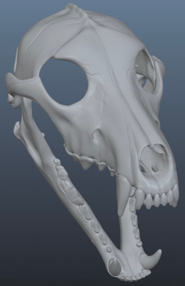 Wolf Skull Mask for Cosplay