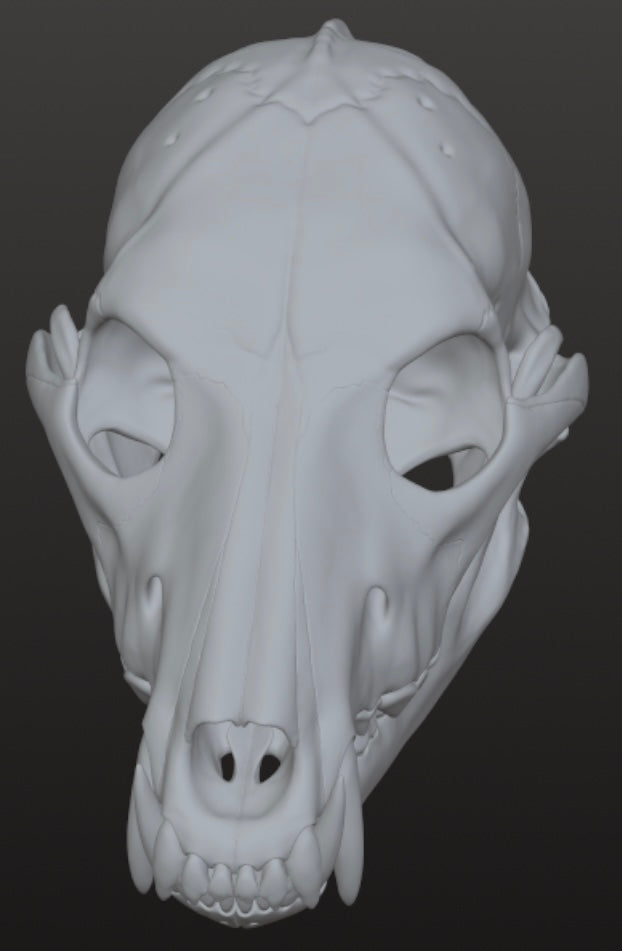 Realistic Werewolf skull 3DModel