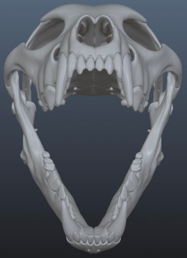 Wolf Skull Mask for Cosplay