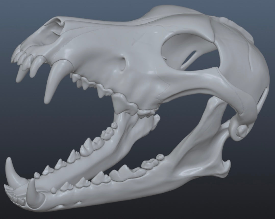 Wolf Skull Mask for Cosplay