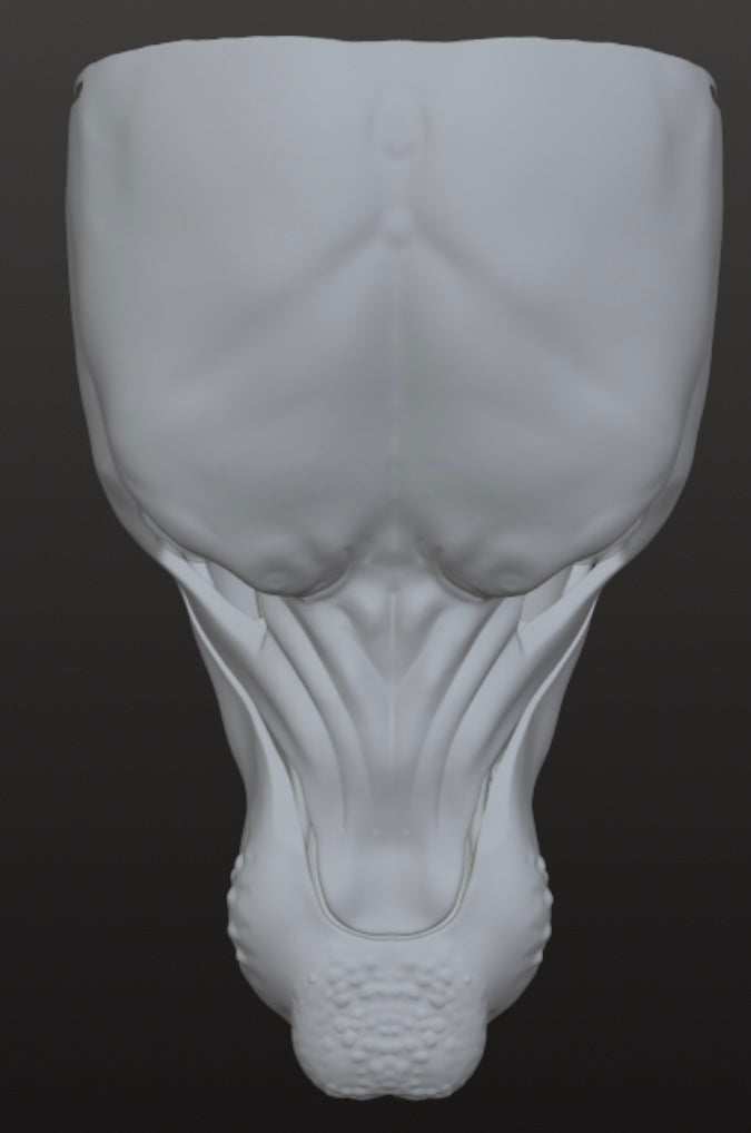 High-Quality Realistic Werewolf Mask for Halloween