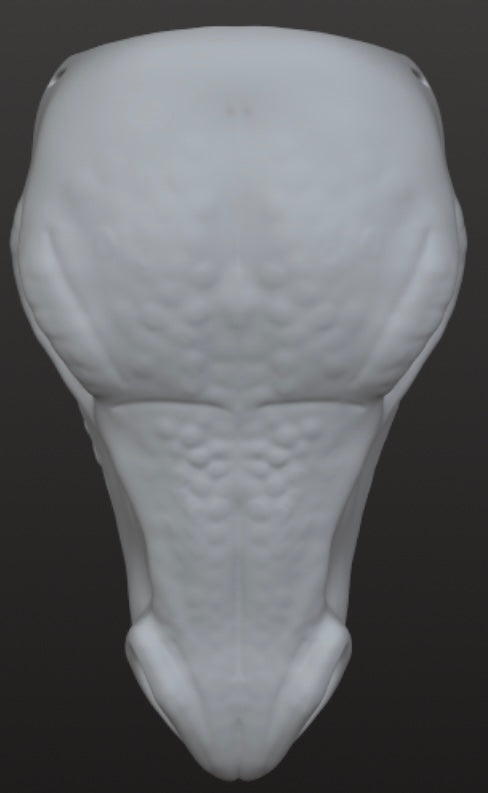 Wyvern Dragon Mask for 3Dprinting