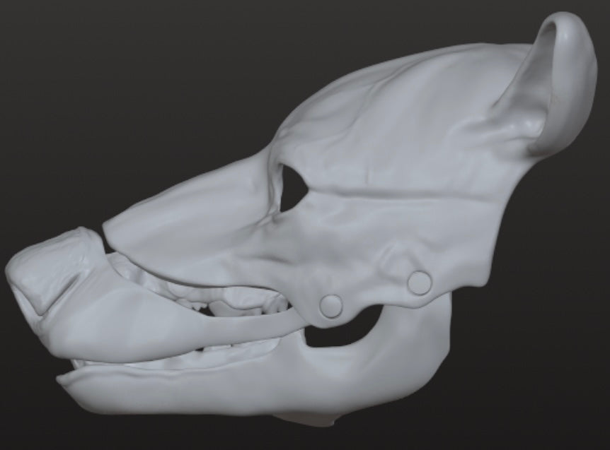 Brown Bear Mask with movable Jaw and Snarl Features