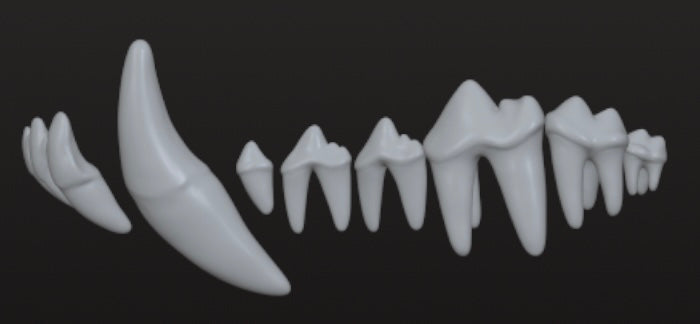 Set of 3 Wolf Teeth designs for 3D use