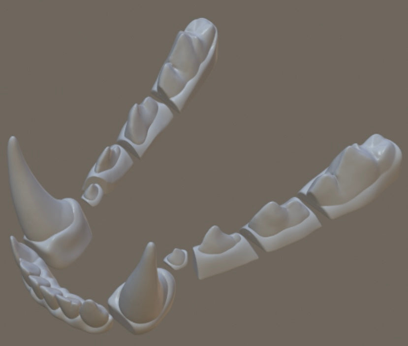 Set of 3 Wolf Teeth designs for 3D use