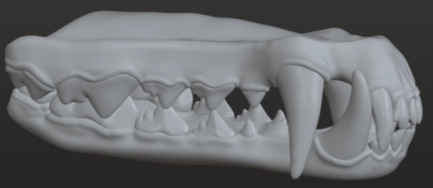 Set of 3 Wolf Teeth designs for 3D use