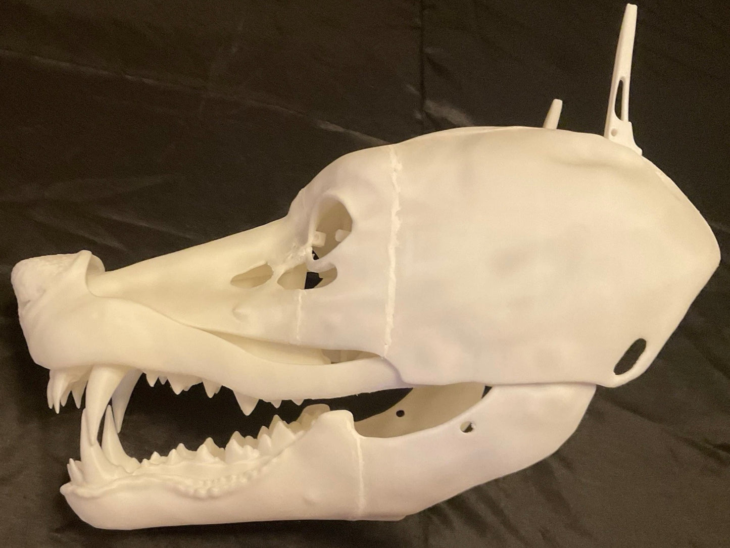 Realistic Werewolf Mask (Printed after pay)